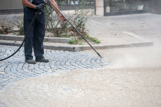 Animal Enclosure Cleaning in Mount Wolf, PA